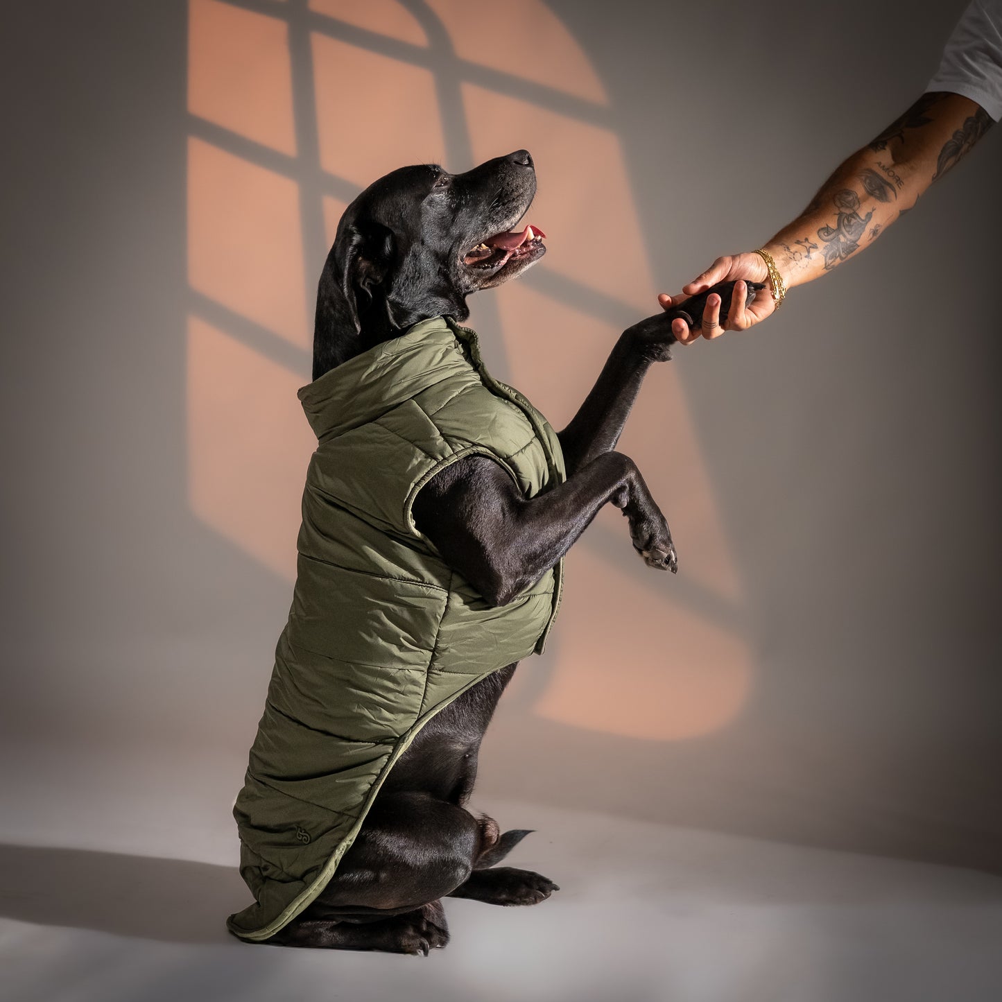 Piumino "Levante" per Cani - Verde