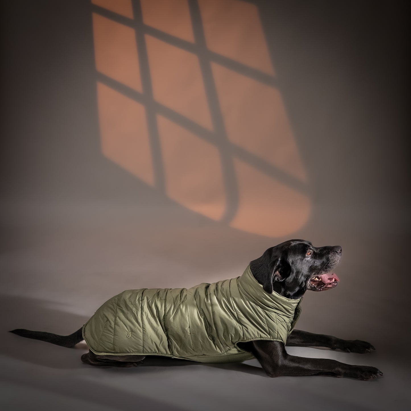 Piumino "Levante" per Cani - Verde