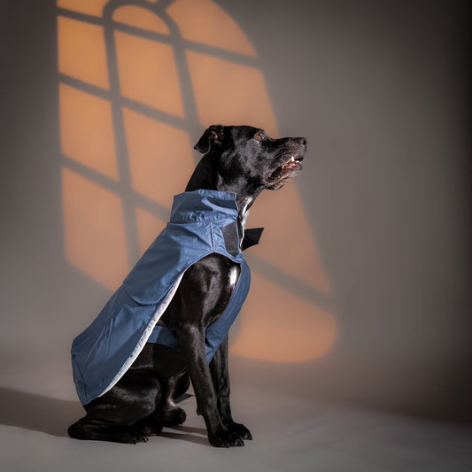Impermeabile "Rugiada" per Cani - Blu