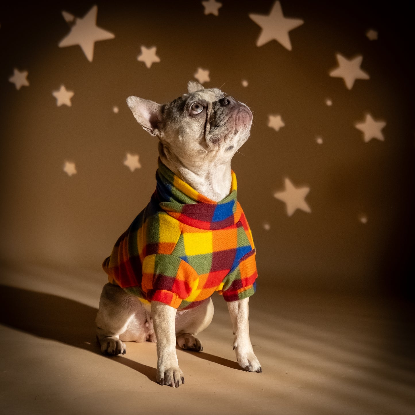 Maglioncino Doubleface per Cani