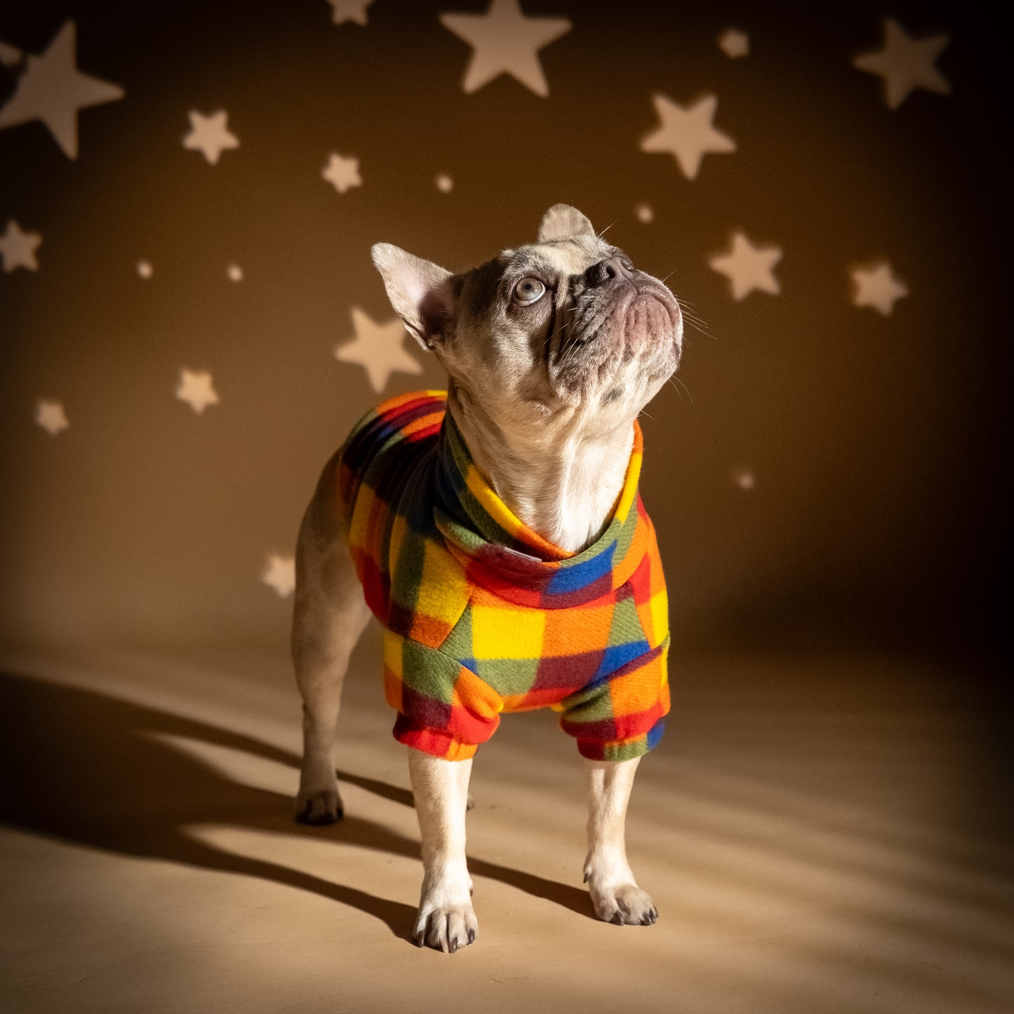 Maglioncino Doubleface per Cani