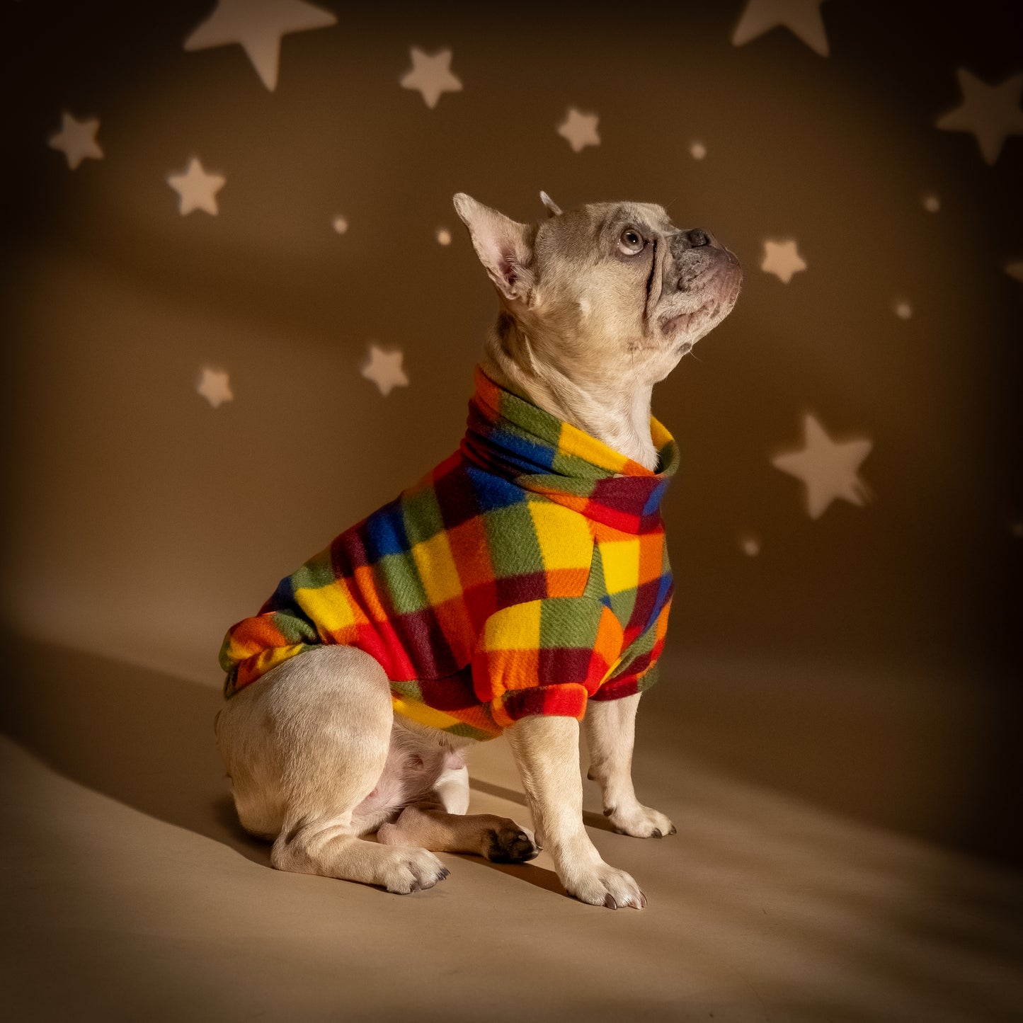 Maglioncino Doubleface per Cani