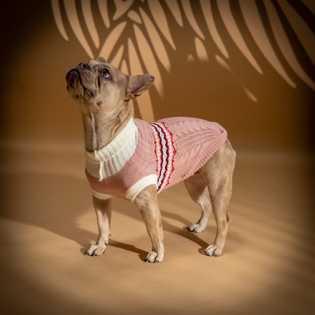 Maglioncino Dolcevita per Cani Fantasia Fair Isle - Rosa