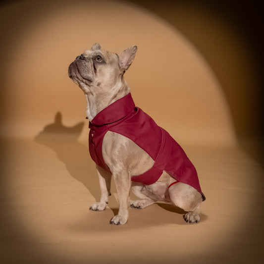 Impermeabile Soft-Touch per Cani "Pocket" - Rosso