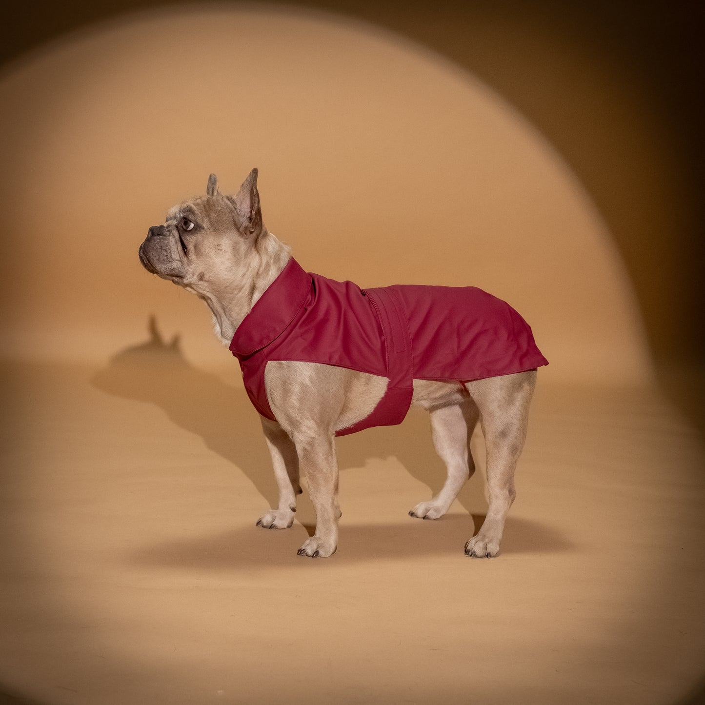 Impermeabile Soft-Touch per Cani "Pocket" - Rosso