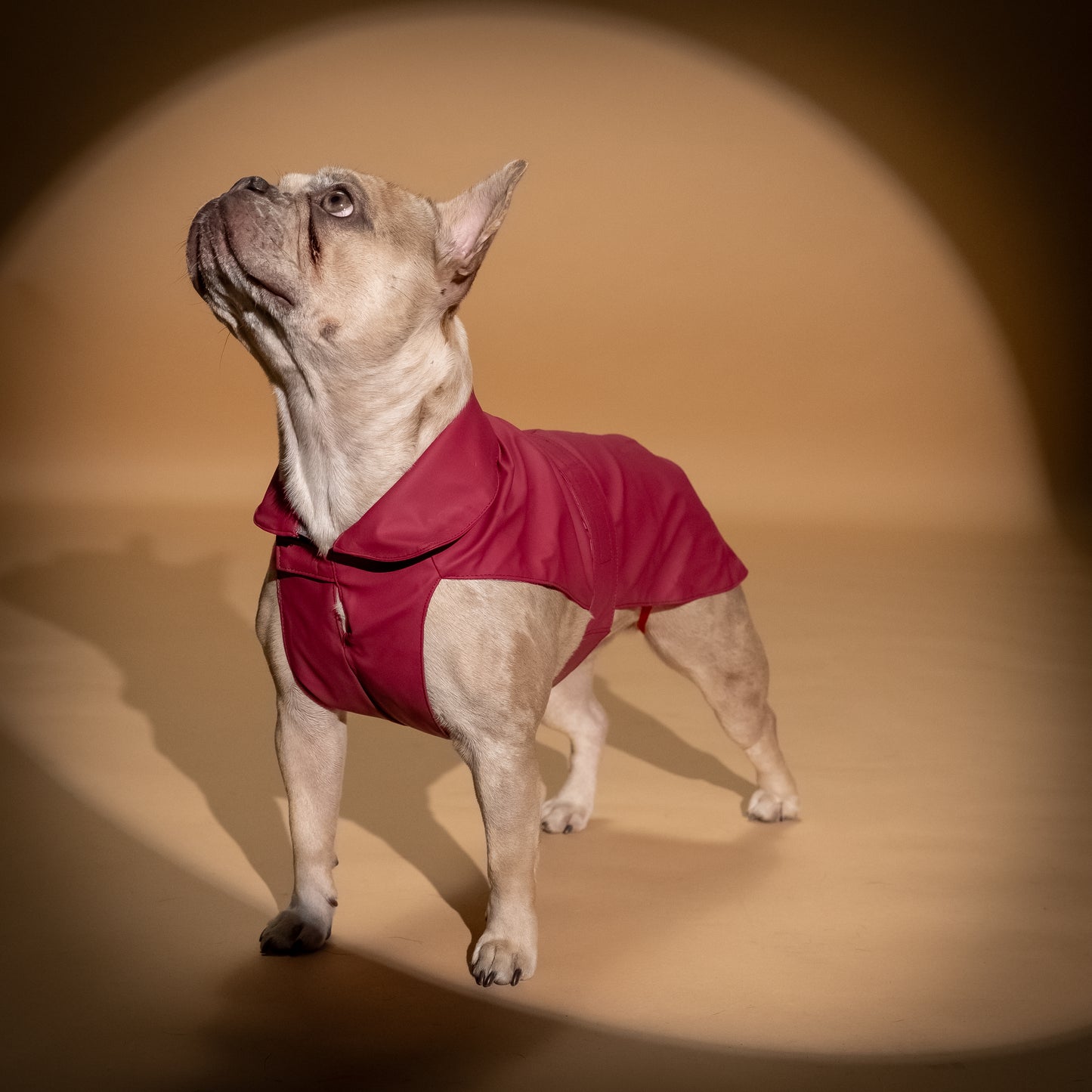 Impermeabile Soft-Touch per Cani "Pocket" - Rosso