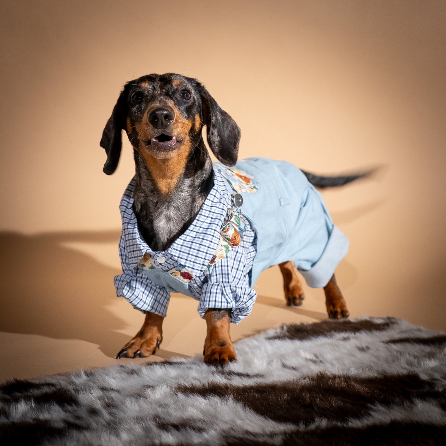 Completo camicia e salopette in denim per cani