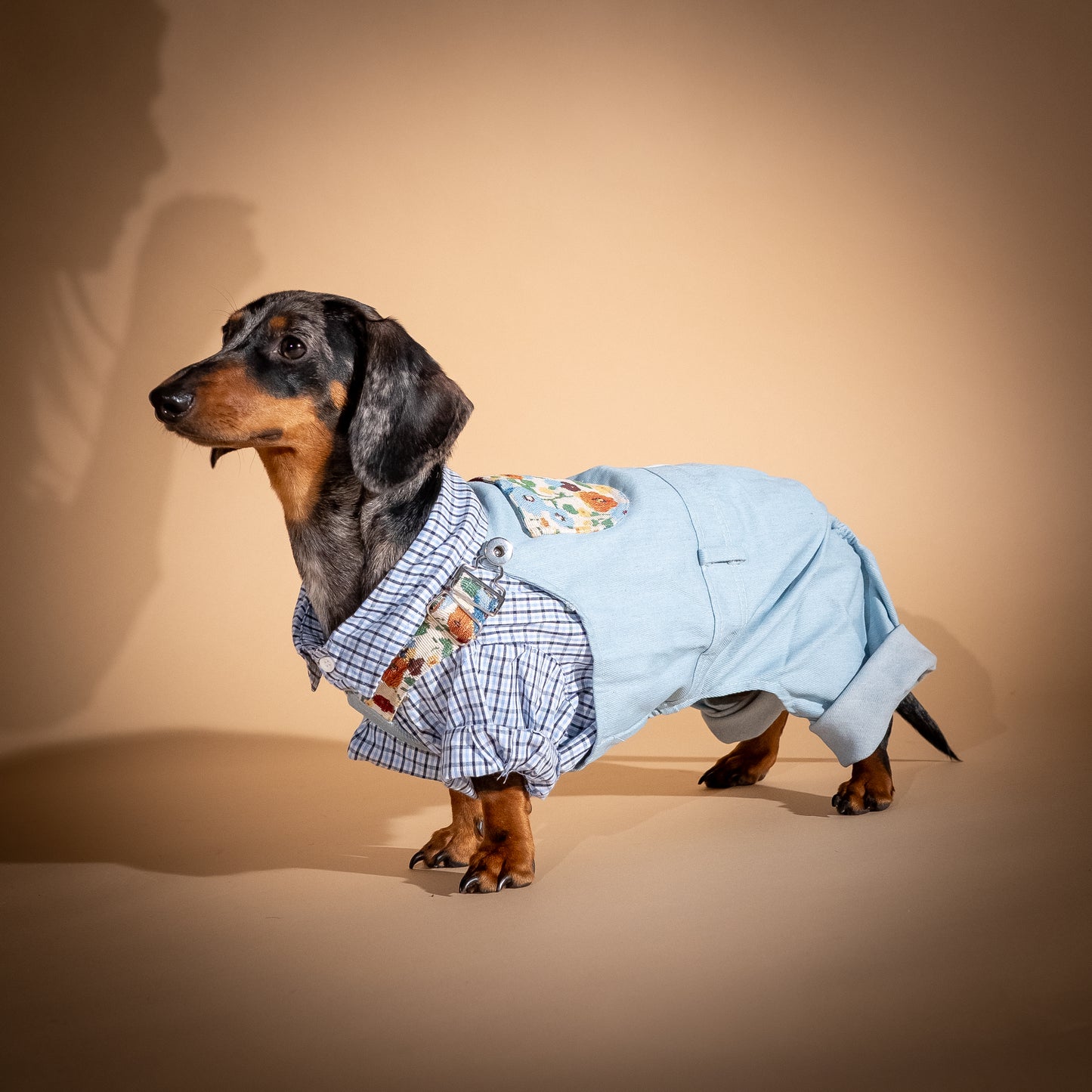 Completo camicia e salopette in denim per cani