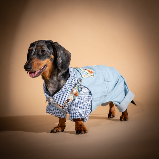 Completo camicia e salopette in denim per cani