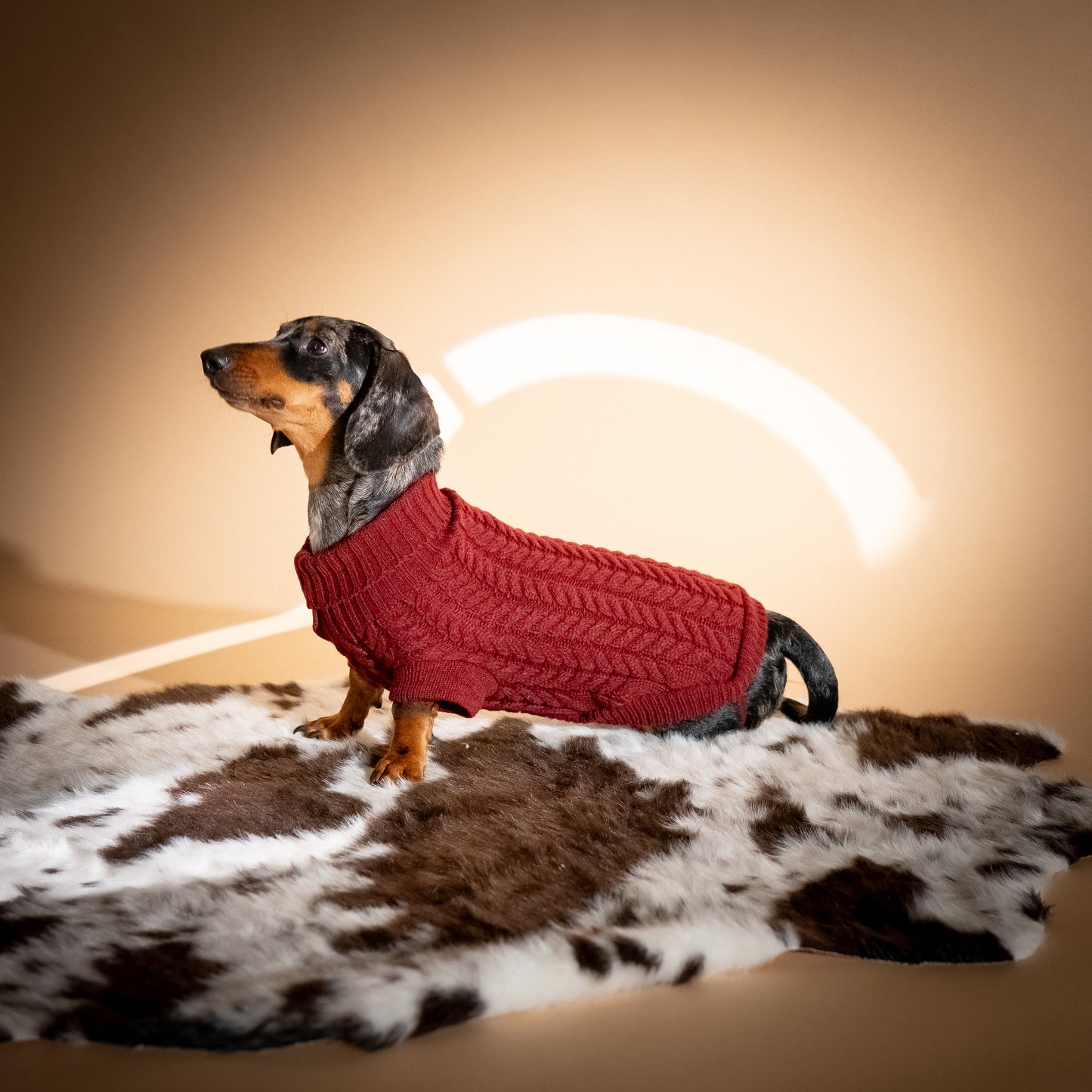 Maglioncino Dolcevita con Trama a Treccia - Bordeaux