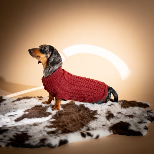 Maglioncino Dolcevita con Trama a Treccia - Bordeaux