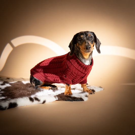 Maglioncino Dolcevita con Trama a Treccia - Bordeaux