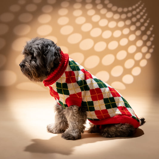 Maglioncino a rombi per cani - Rosso