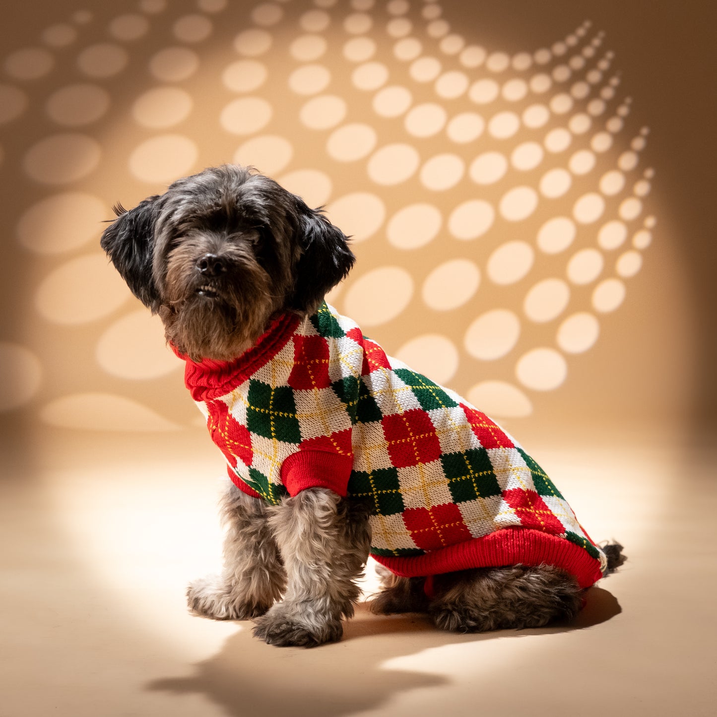 Maglioncino a rombi per cani - Rosso