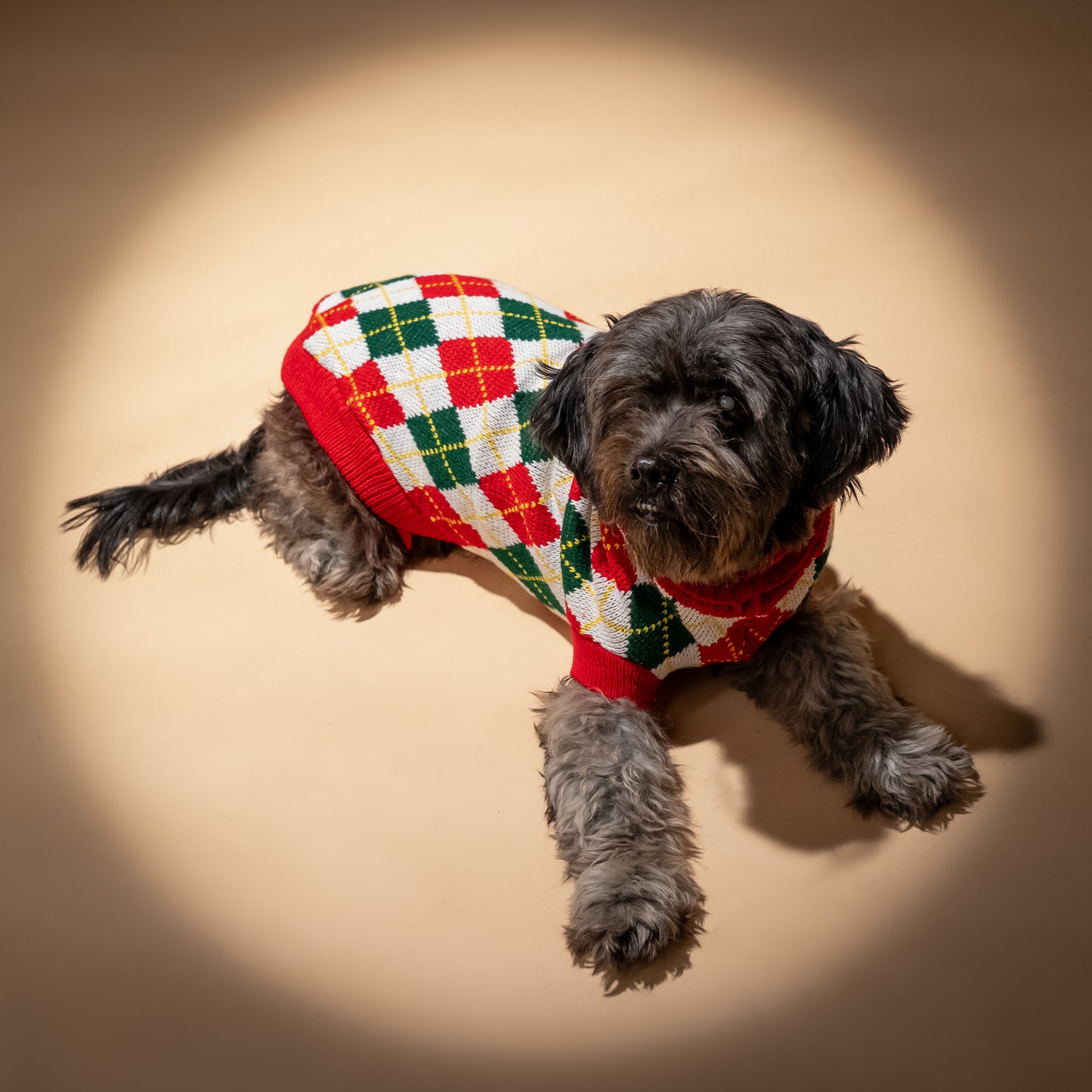 Maglioncino a rombi per cani - Rosso