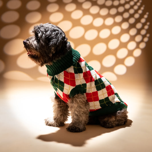 Maglioncino a rombi per cani - Verde