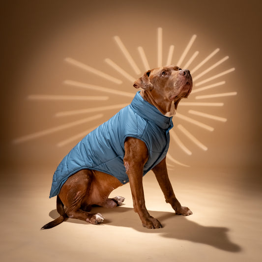 Piumino "Levante" per Cani - Ottanio