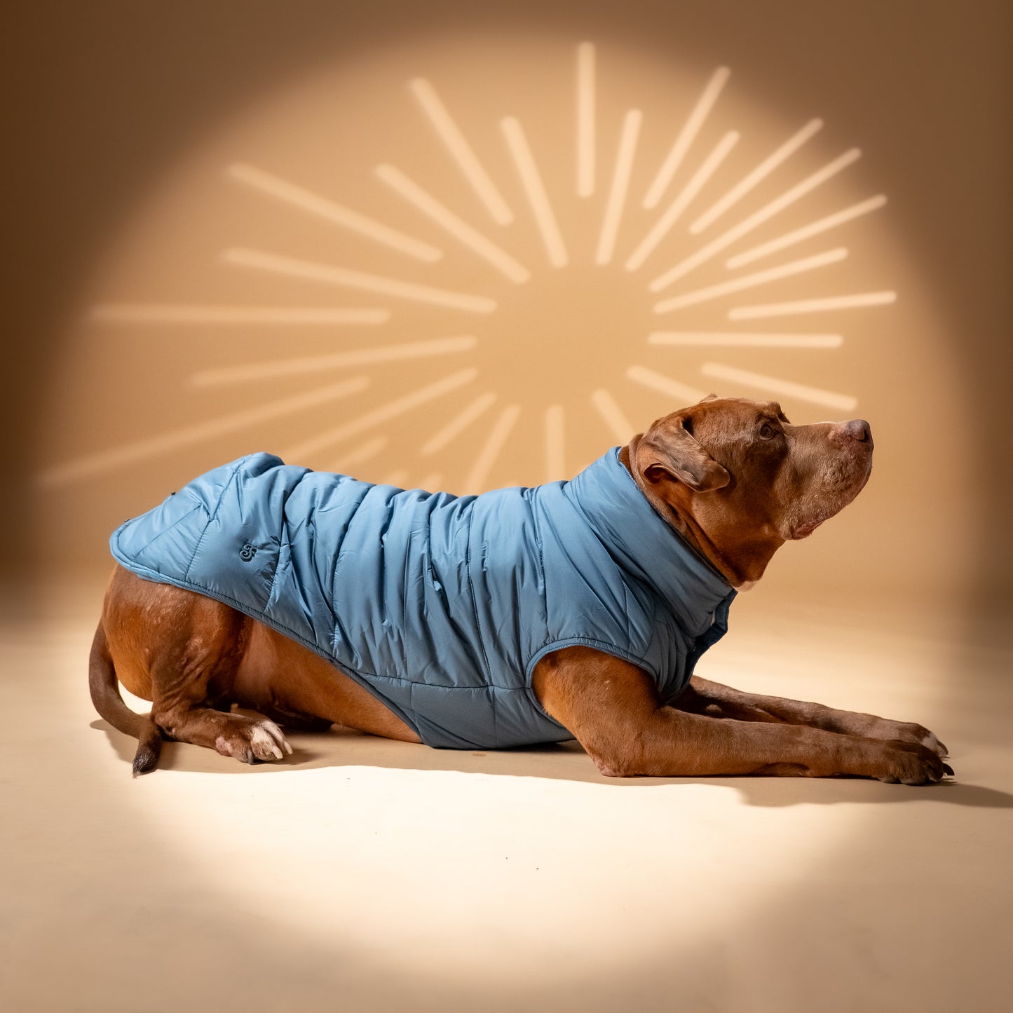 Piumino "Levante" per Cani - Ottanio