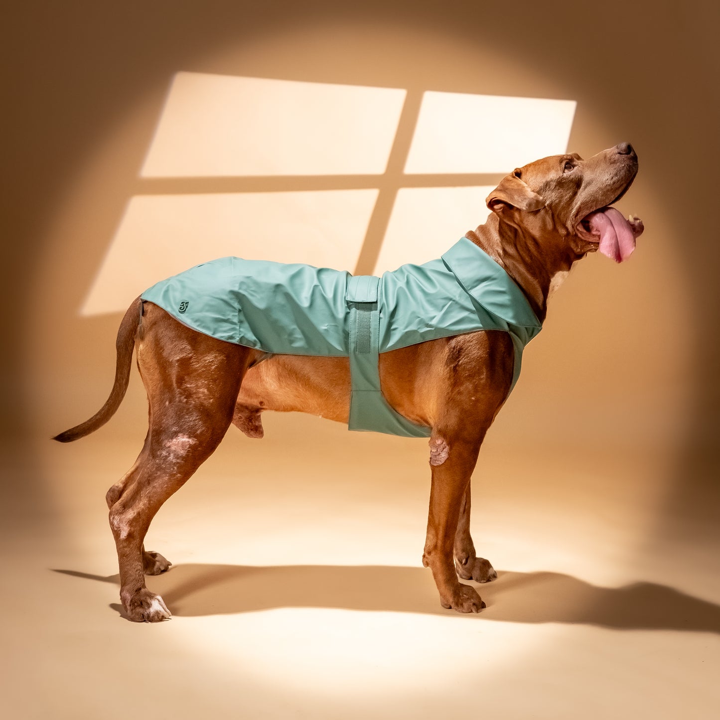 Impermeabile Soft-Touch per Cani "Pocket" - Verde