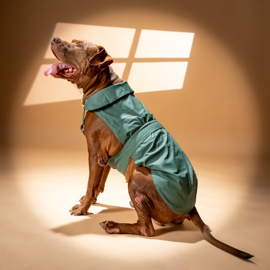 Impermeabile Soft-Touch per Cani "Pocket" - Verde