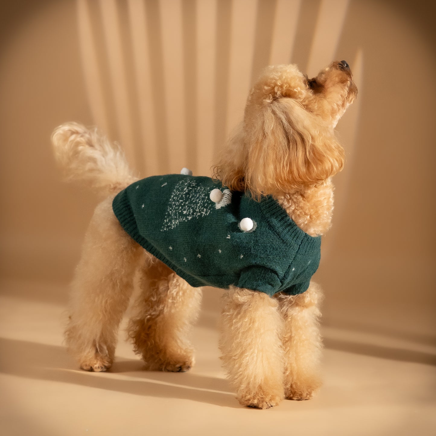 Maglioncino natalizio con alberi di natale e pompon - Verde