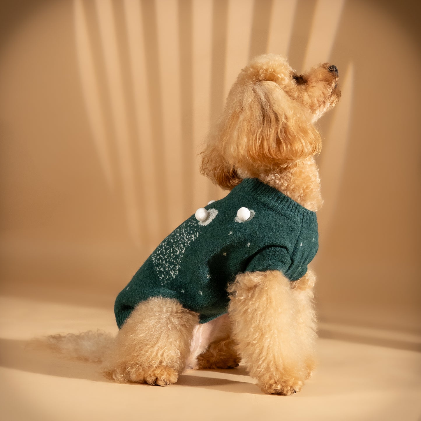 Maglioncino natalizio con alberi di natale e pompon - Verde