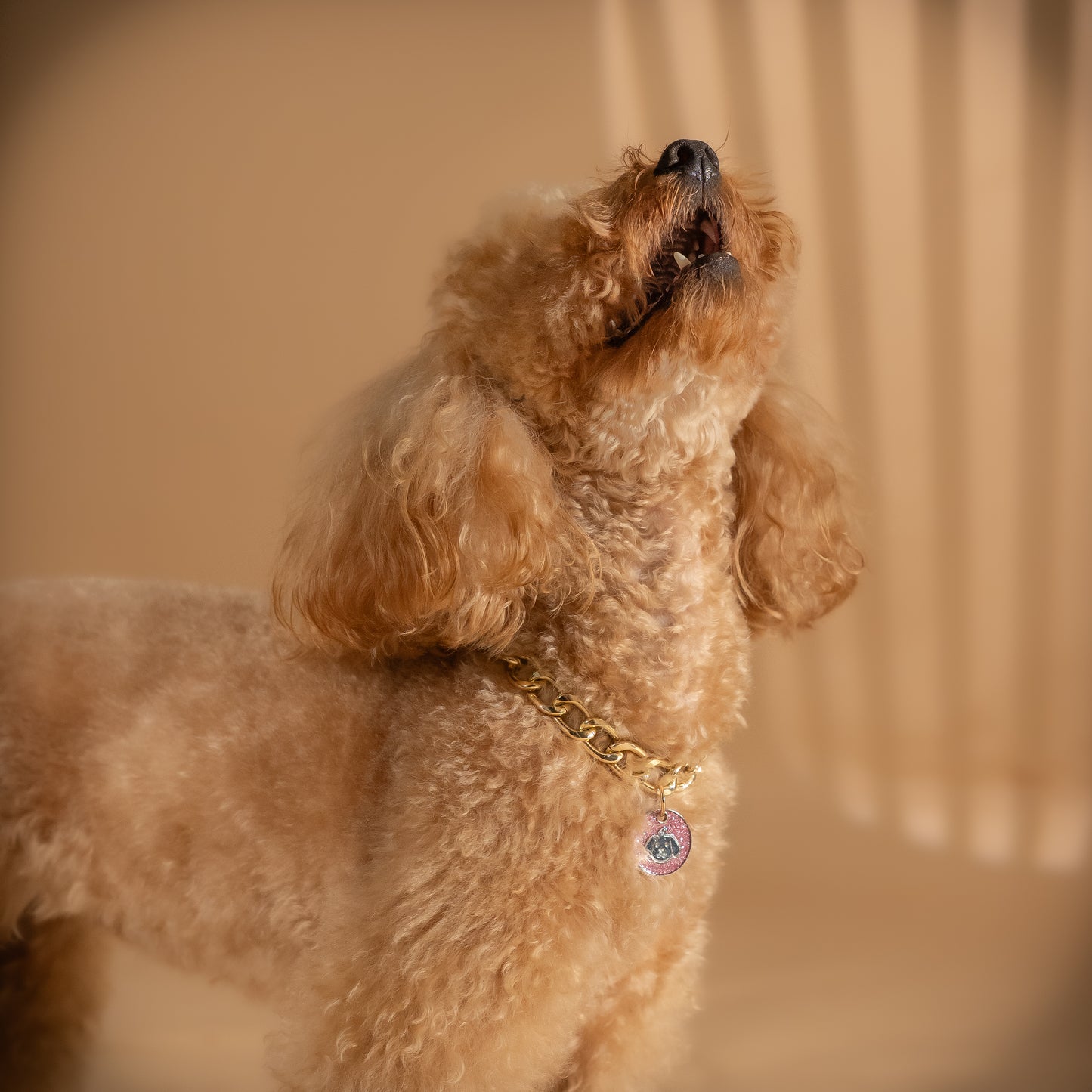 Collana per cani - Cagnolino Rosa ( 35 cm max )