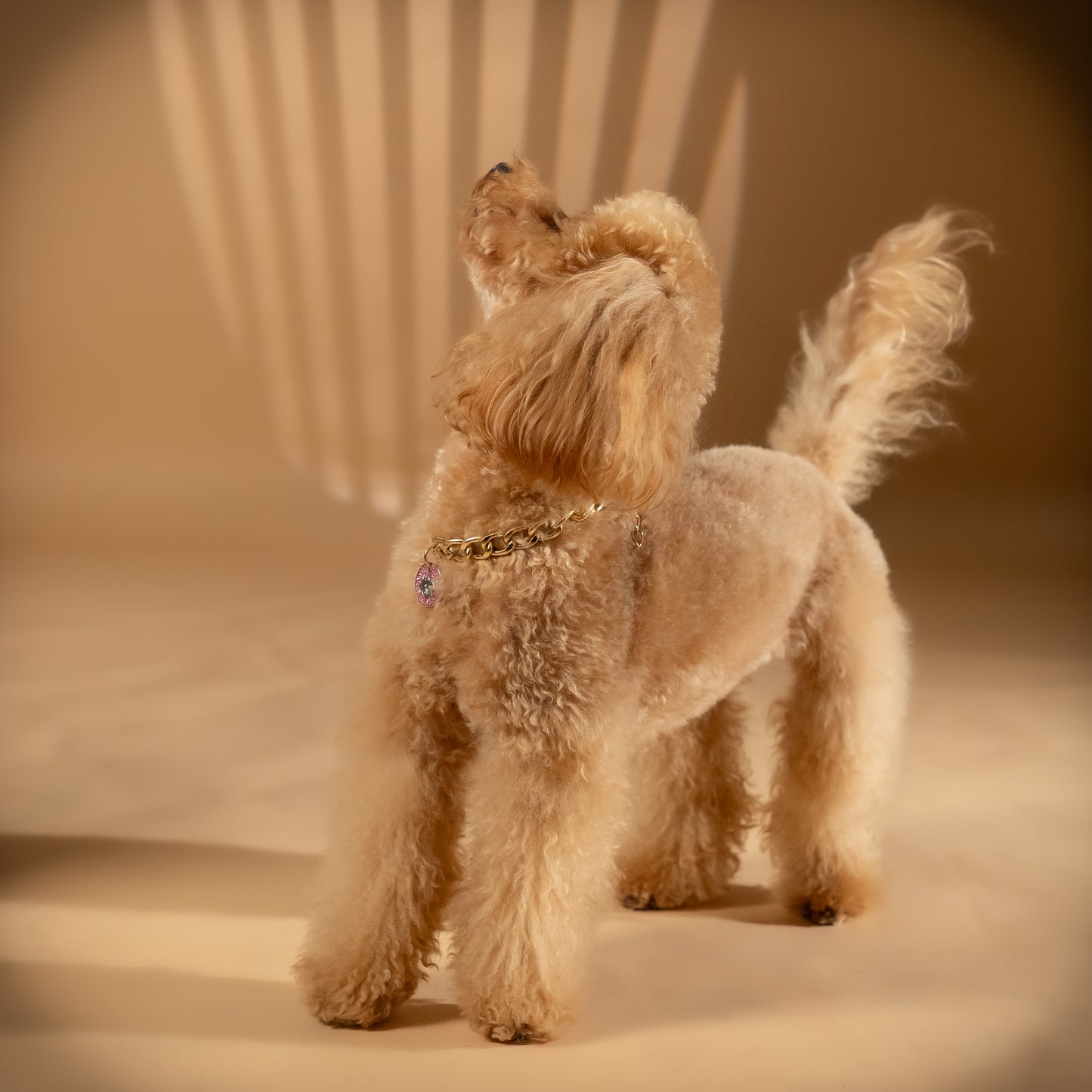 Collana per cani - Cagnolino Rosa ( 35 cm max )