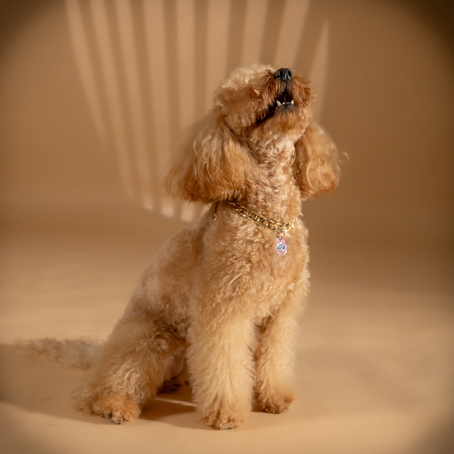 Collana per cani - Cagnolino Rosa ( 35 cm max )