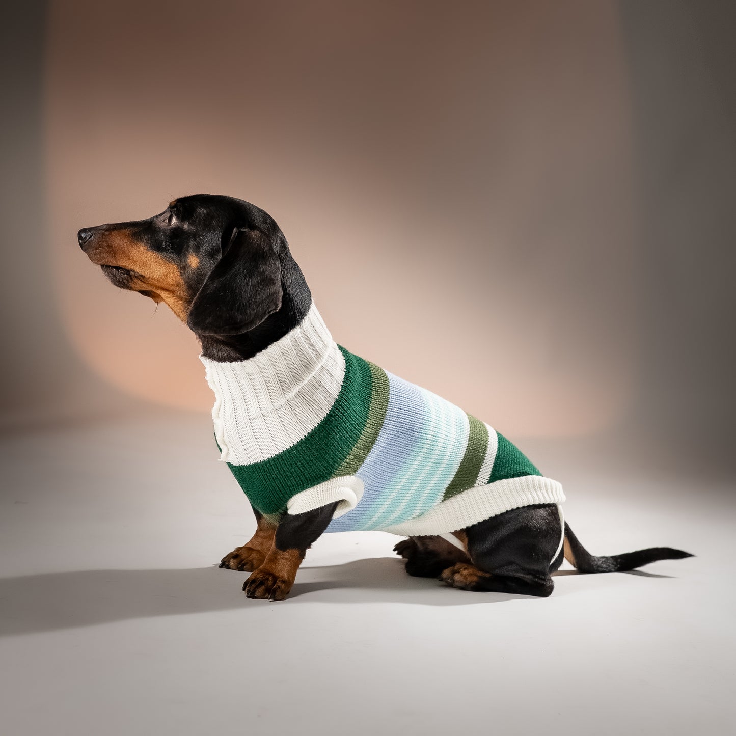 Maglioncino Dolcevita Multicolor a Righe - Verde