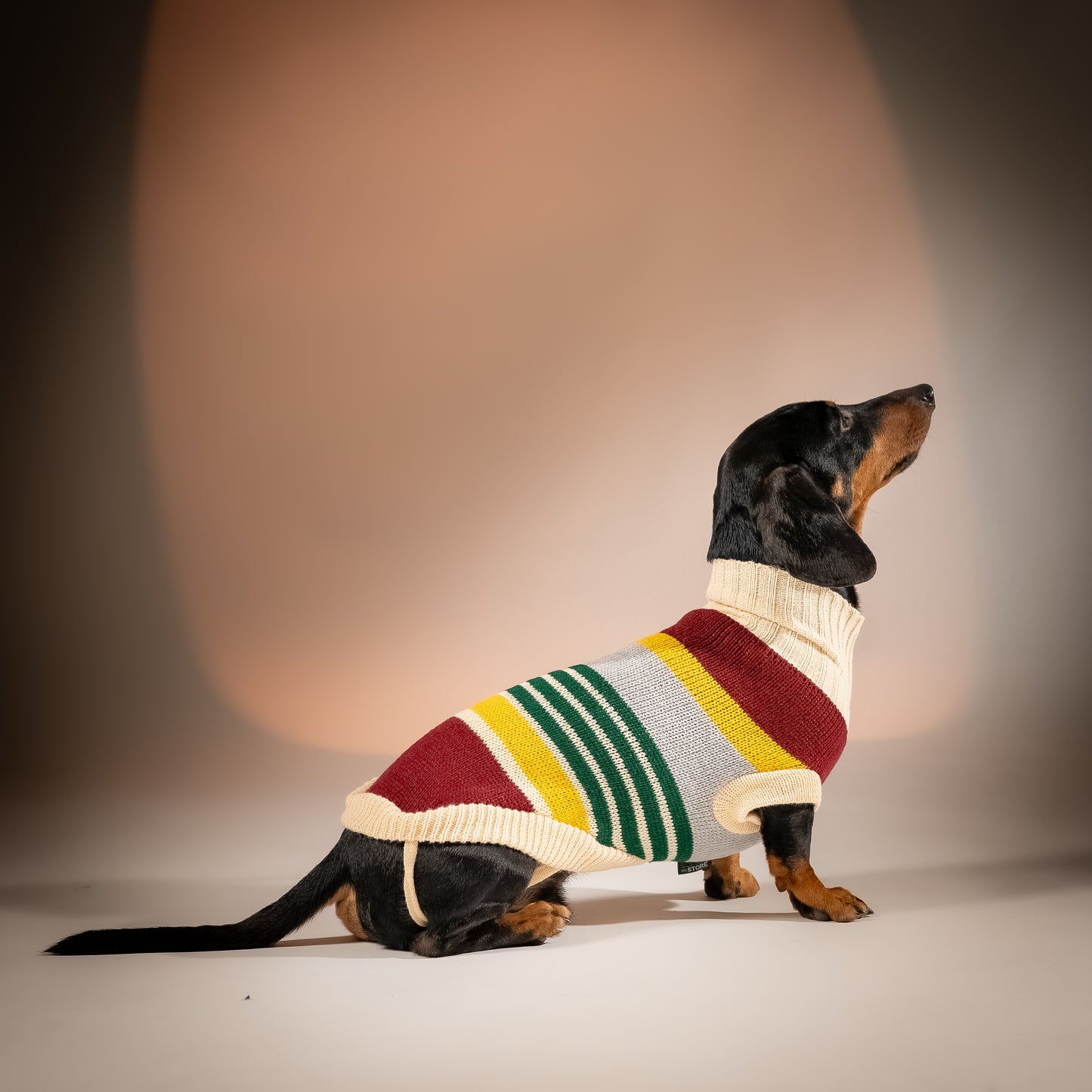 Maglioncino Dolcevita Multicolor a Righe - Bordeaux