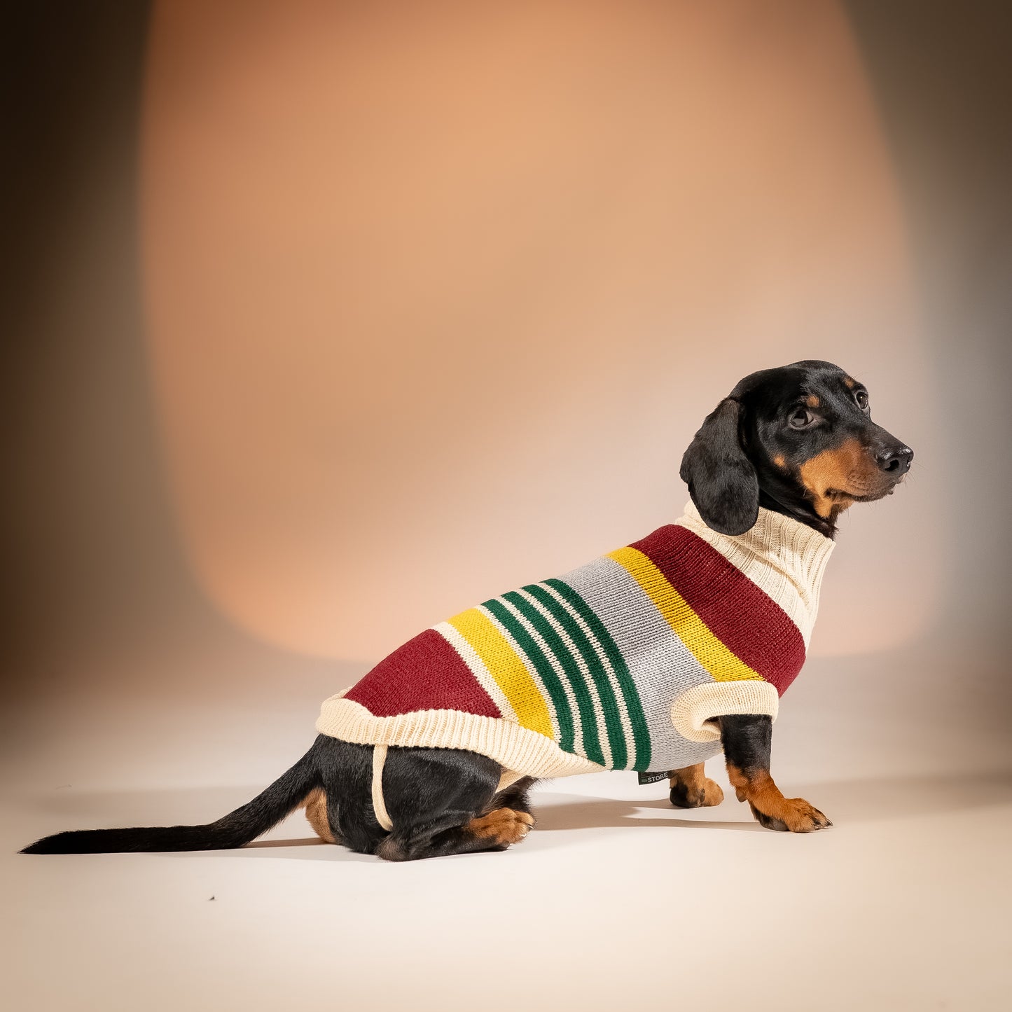 Maglioncino Dolcevita Multicolor a Righe - Bordeaux