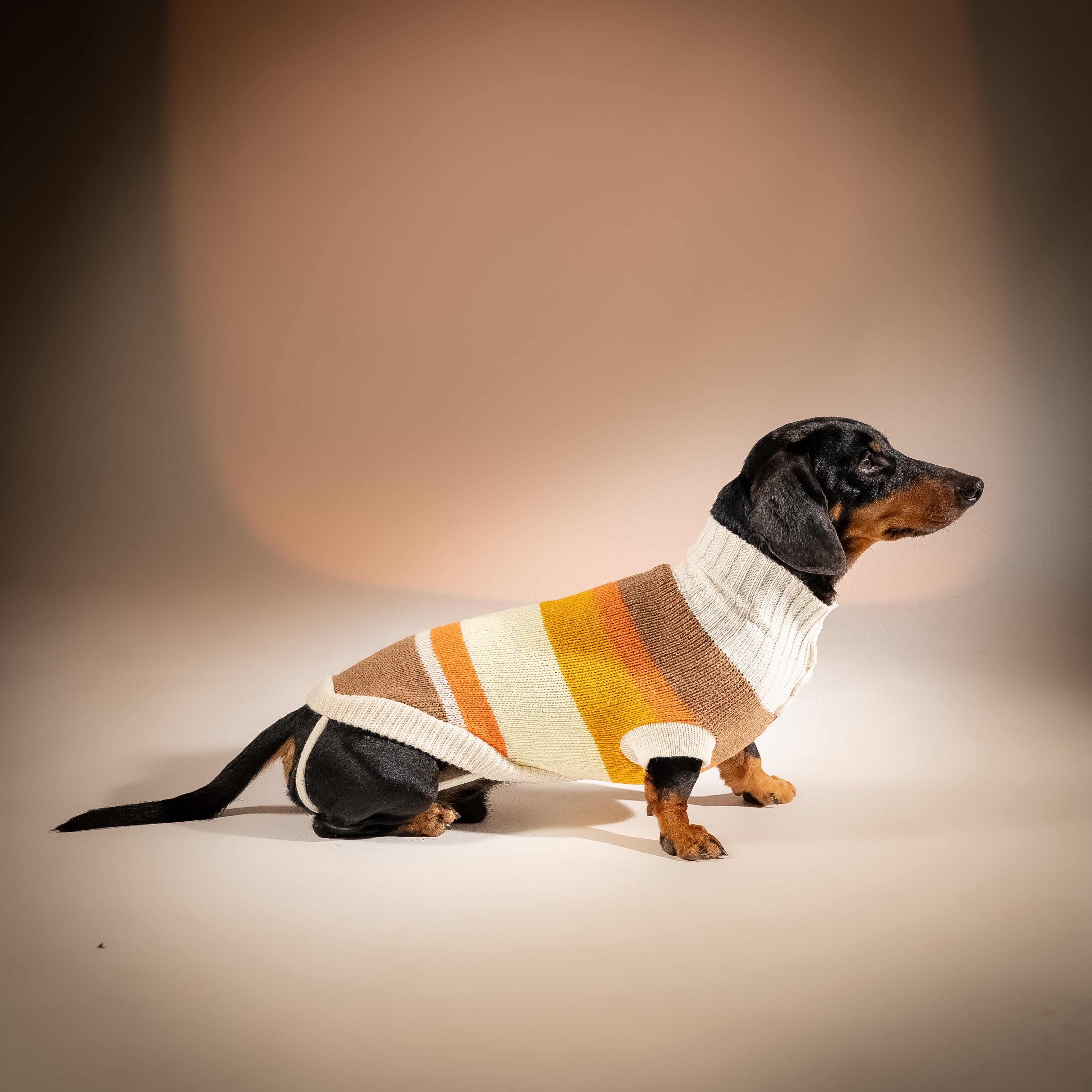 Maglioncino Dolcevita Multicolor a Righe - Beige