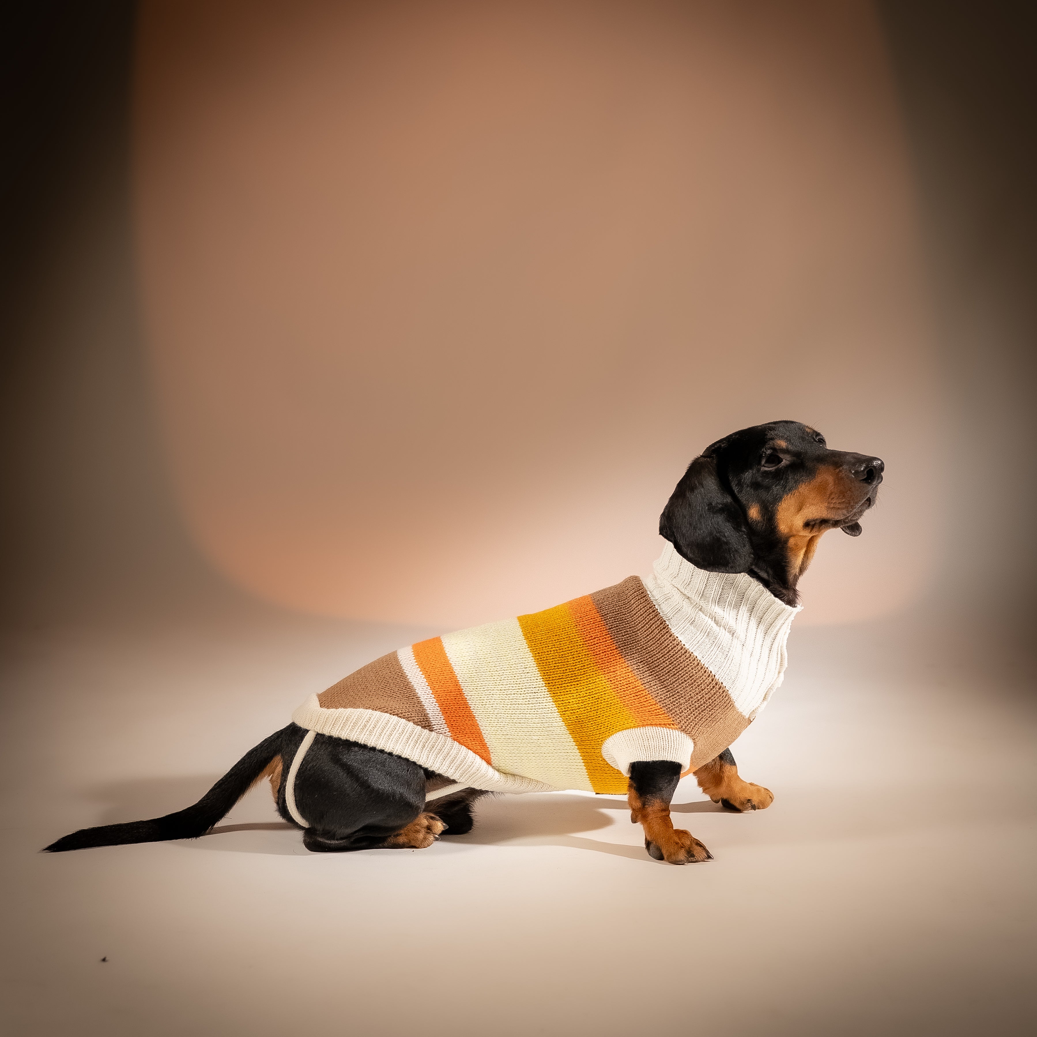 Maglioncino Dolcevita Multicolor a Righe - Beige