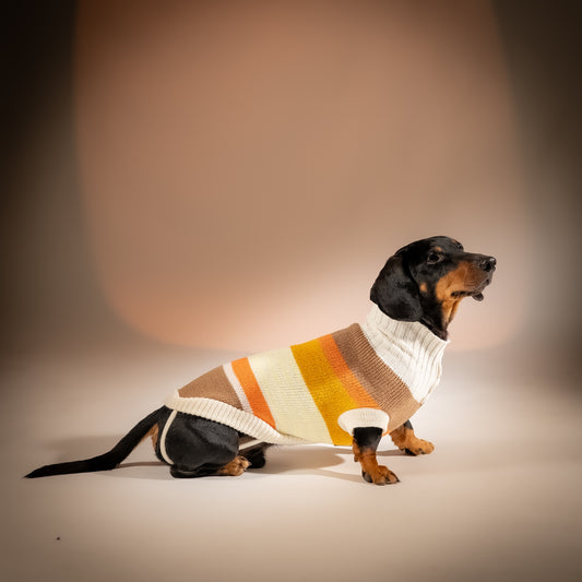 Maglioncino Dolcevita Multicolor a Righe - Beige