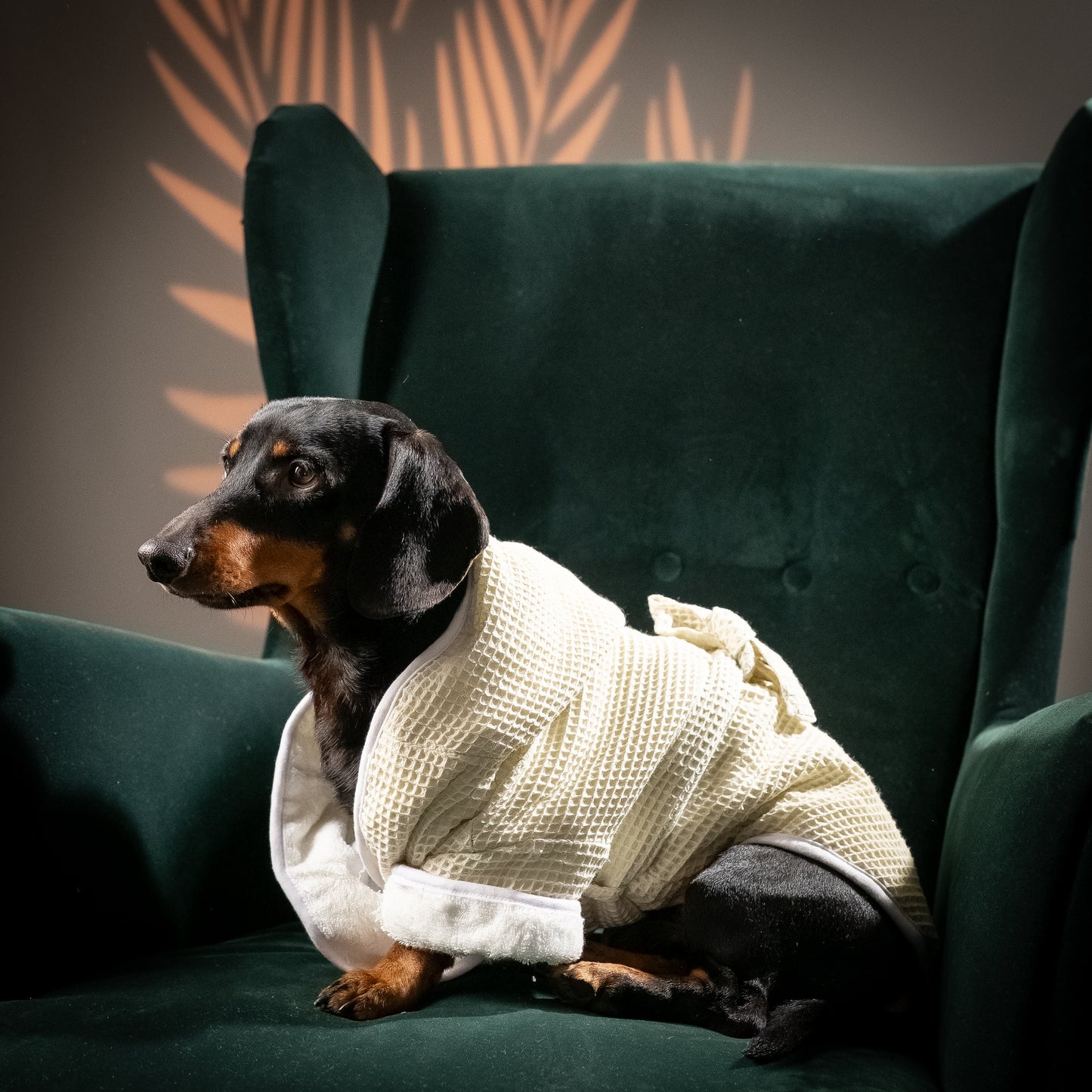 Accappatoio Comfort in Spugna - Beige