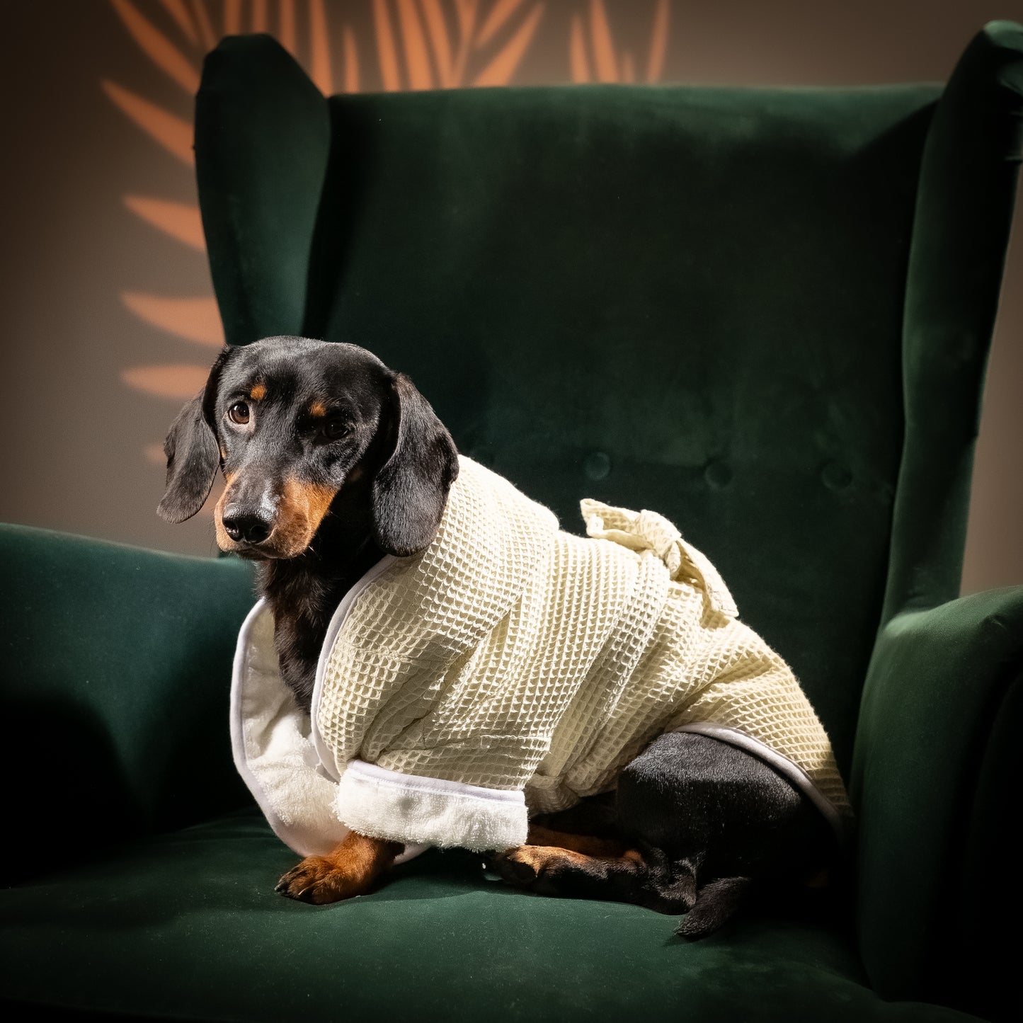 Accappatoio Comfort in Spugna - Beige