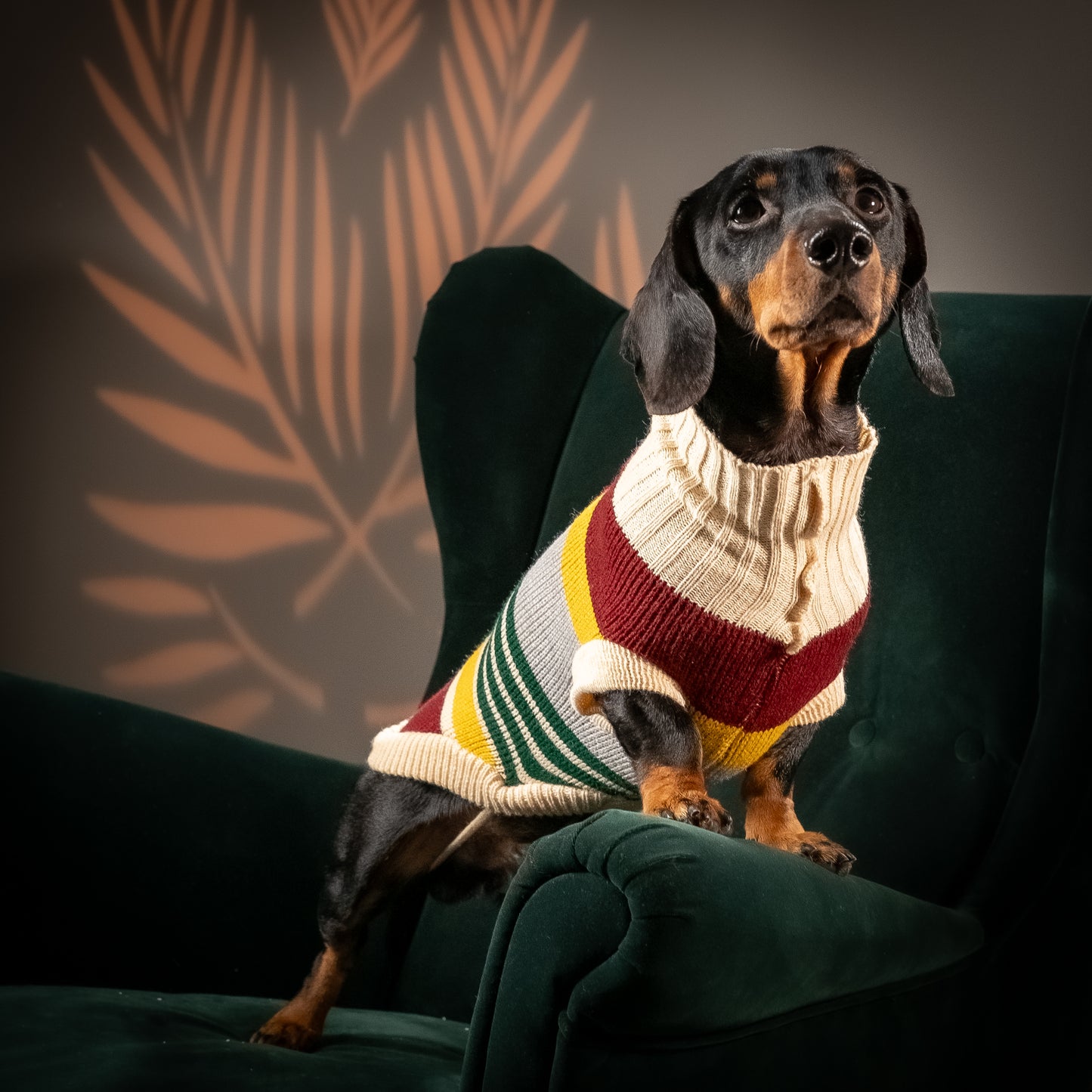 Maglioncino Dolcevita Multicolor a Righe - Bordeaux