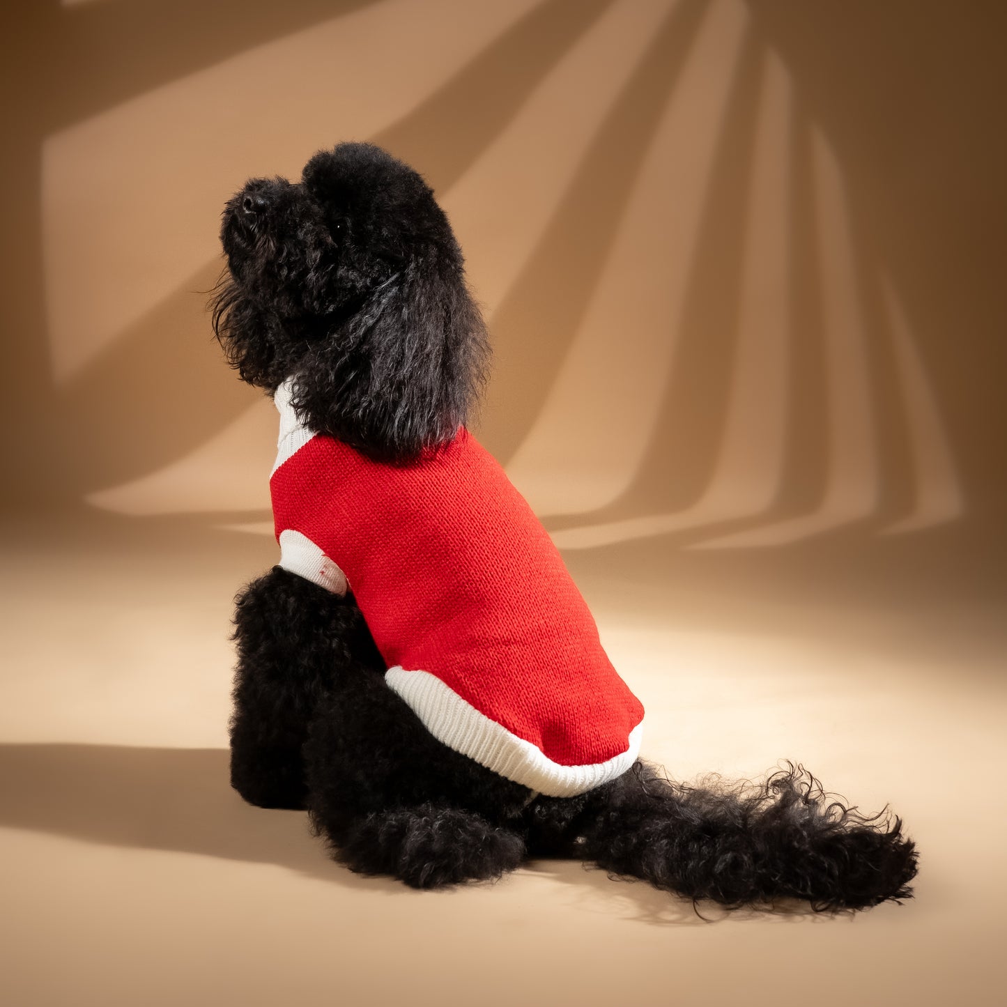 Maglioncino Dolcevita a Due Colori a Contrasto - Rosso