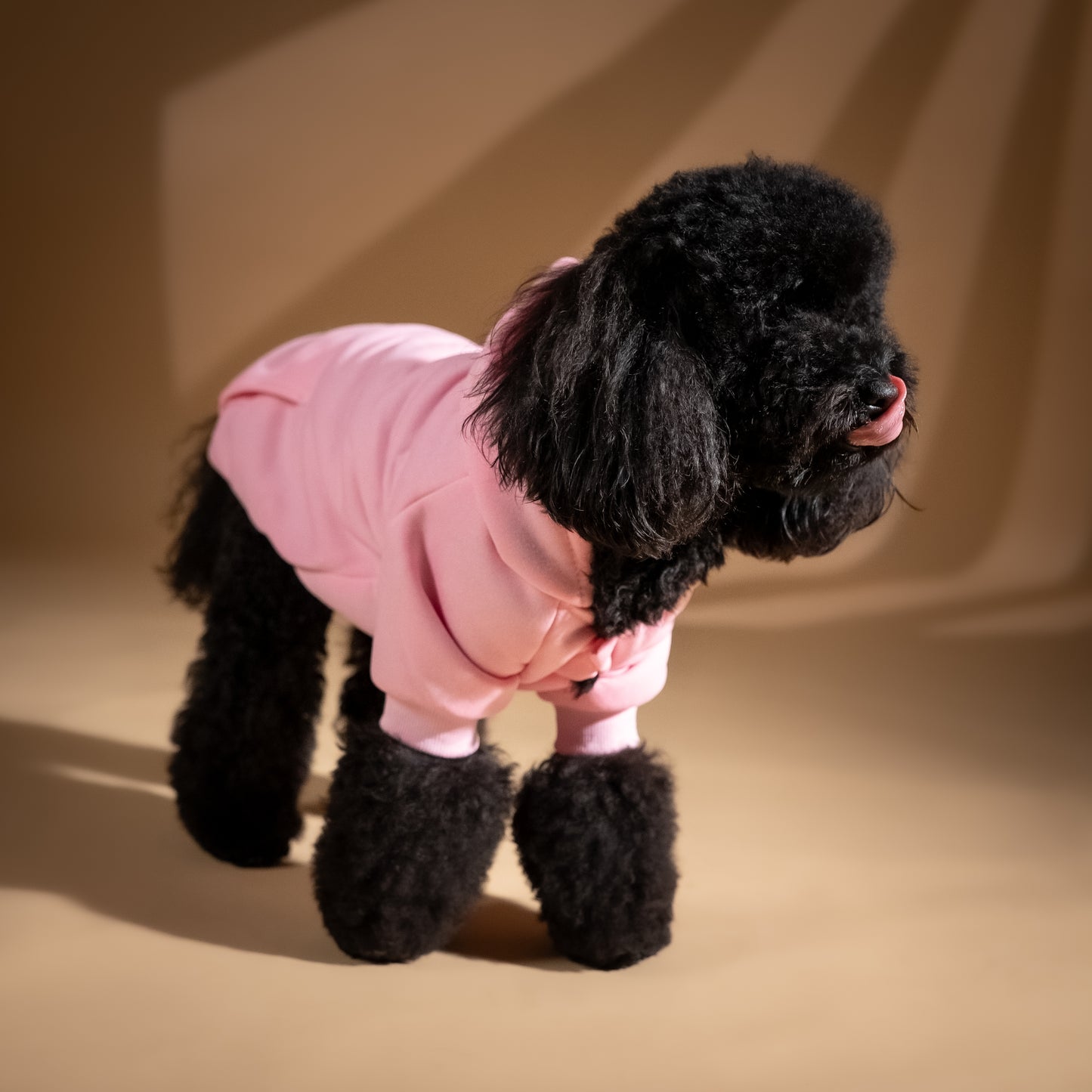 Felpa College con Cappuccio - Rosa