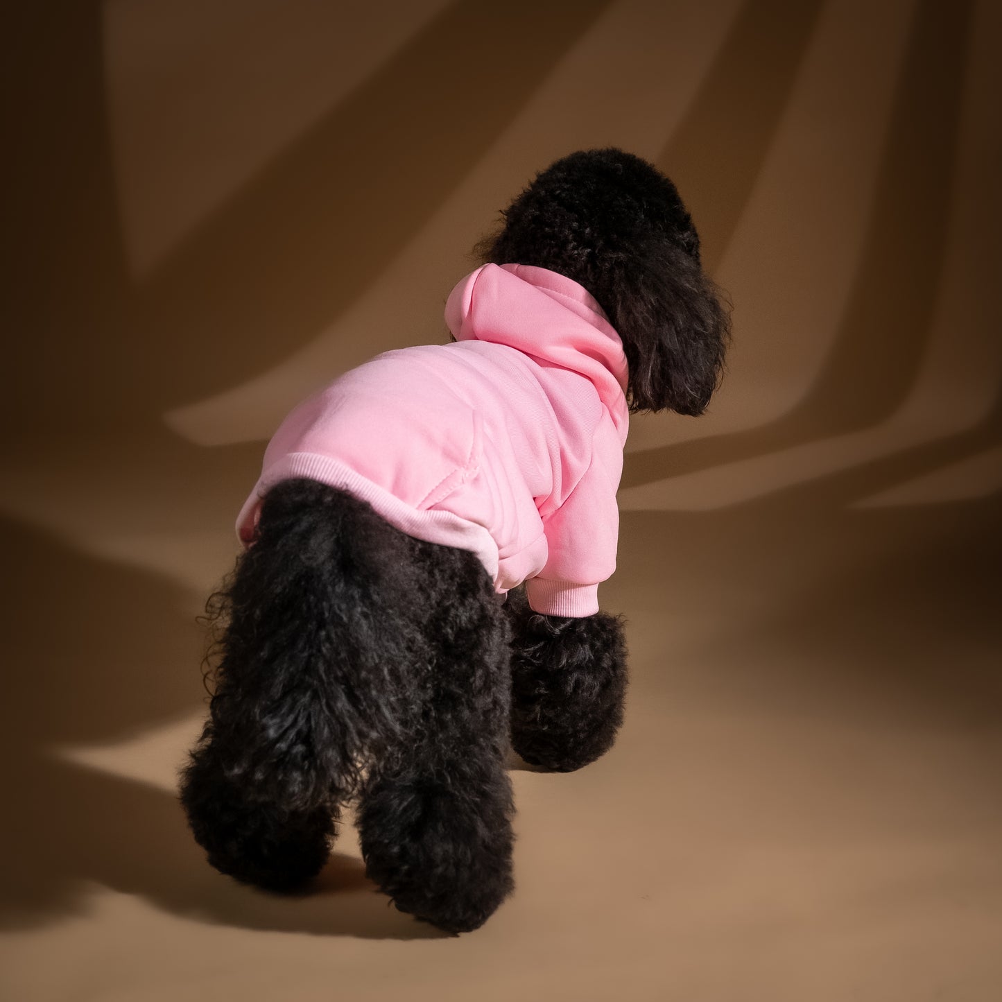 Felpa College con Cappuccio - Rosa