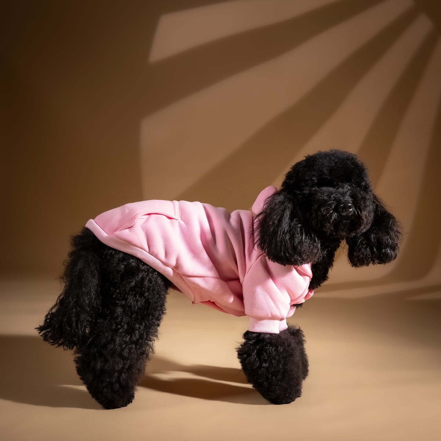 Felpa College con Cappuccio - Rosa