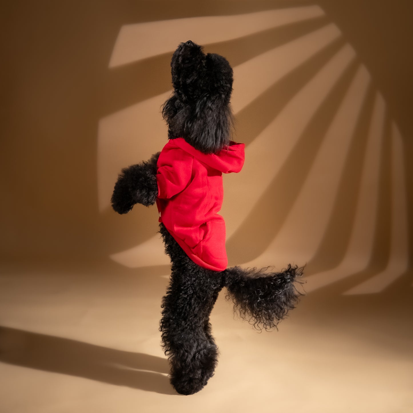 Felpa College con Cappuccio - Rosso