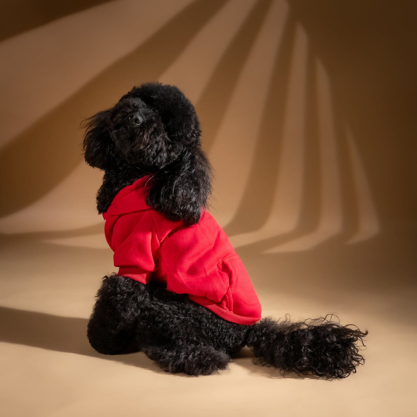 Felpa College con Cappuccio - Rosso