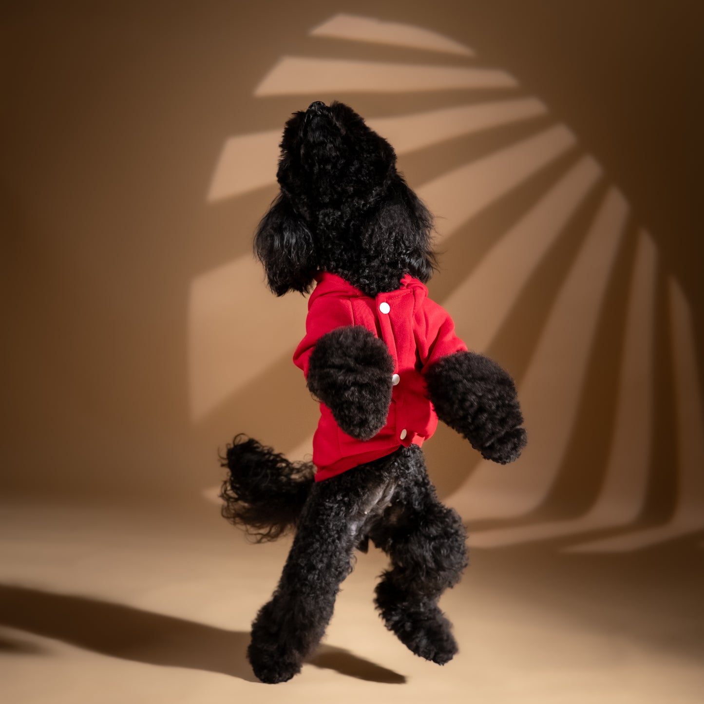 Felpa College con Cappuccio - Rosso