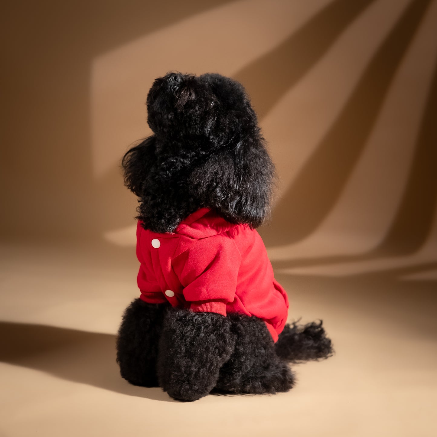 Felpa College con Cappuccio - Rosso