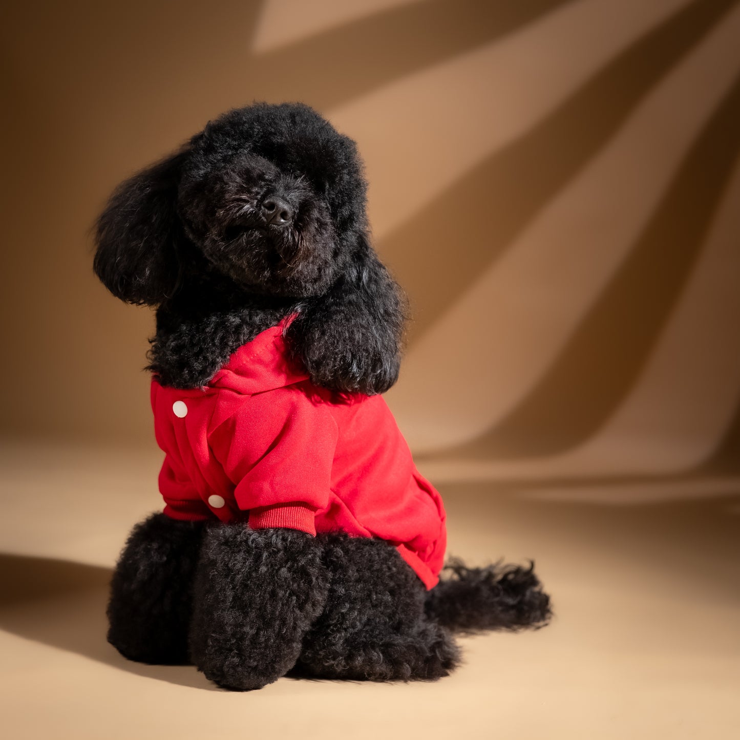 Felpa College con Cappuccio - Rosso