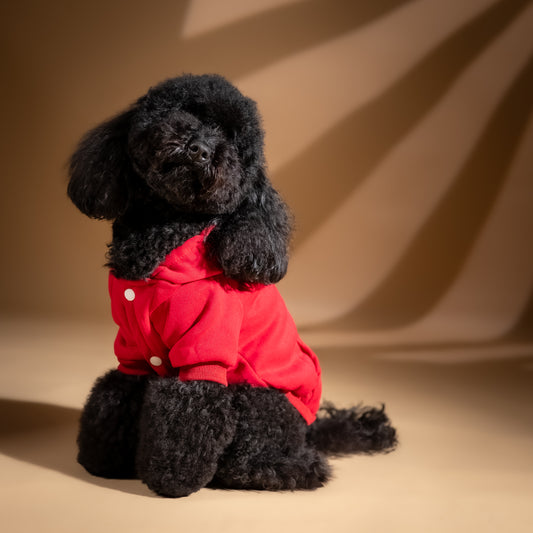 Felpa College con Cappuccio - Rosso