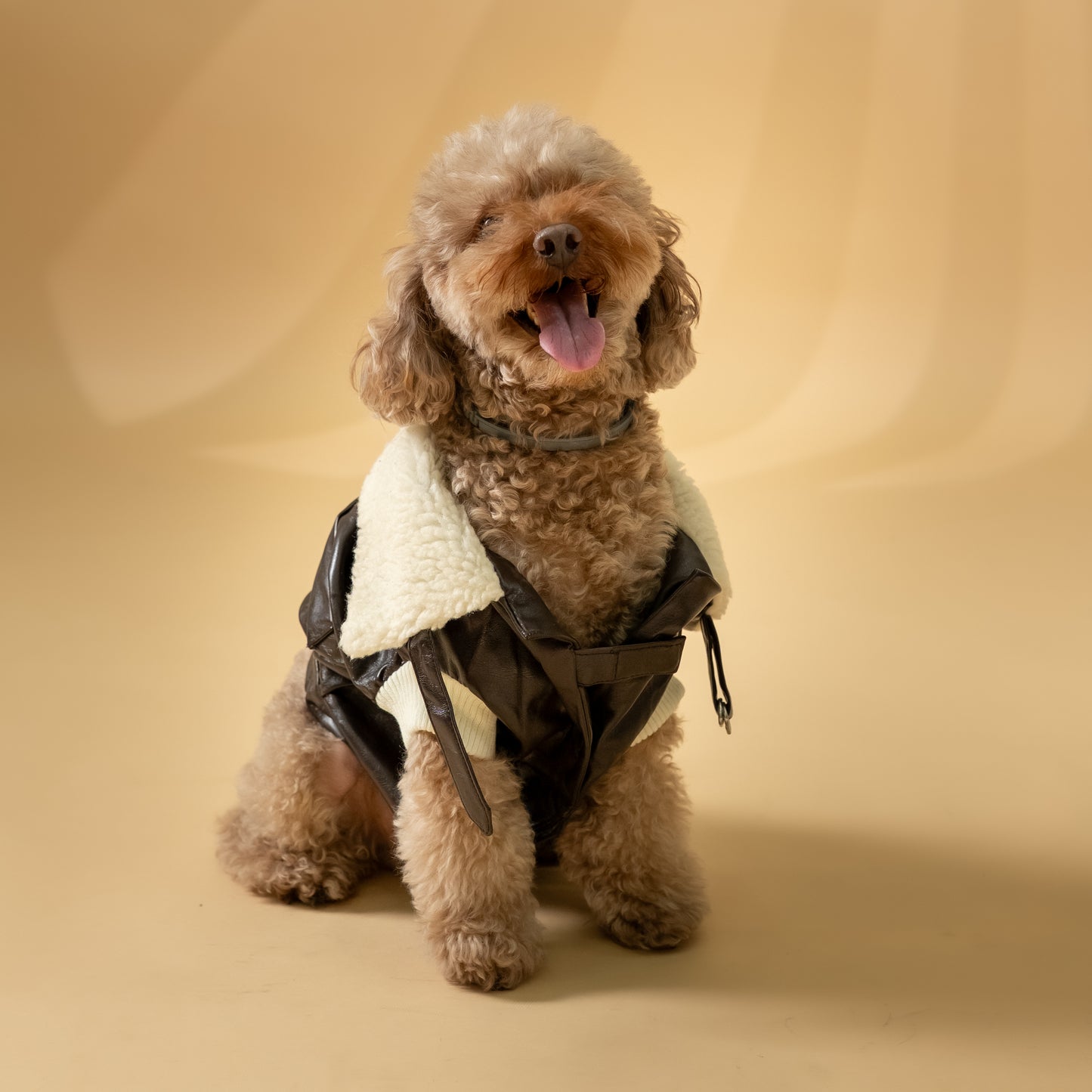 Montone "Aviatore" per Cani