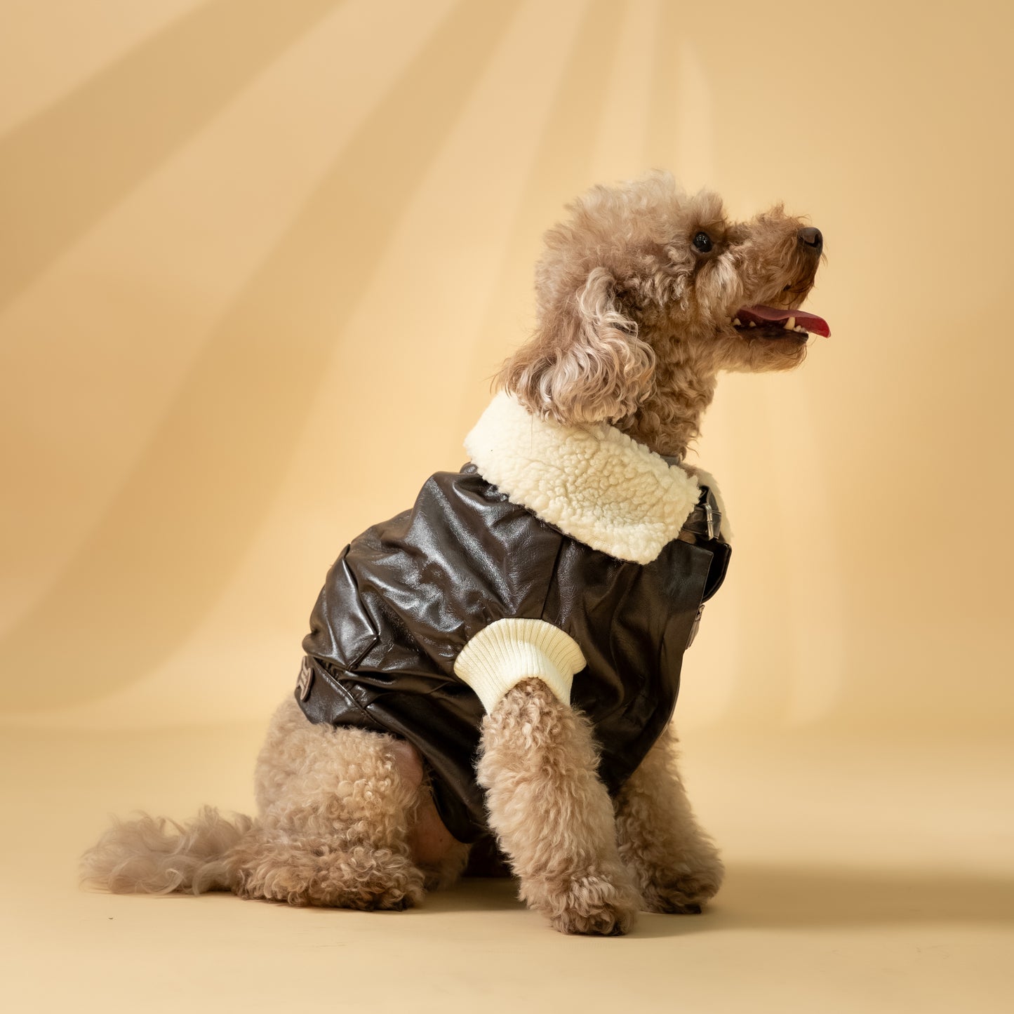 Montone "Aviatore" per Cani